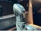 2024 INFINITI QX80 SENSORY 4WD