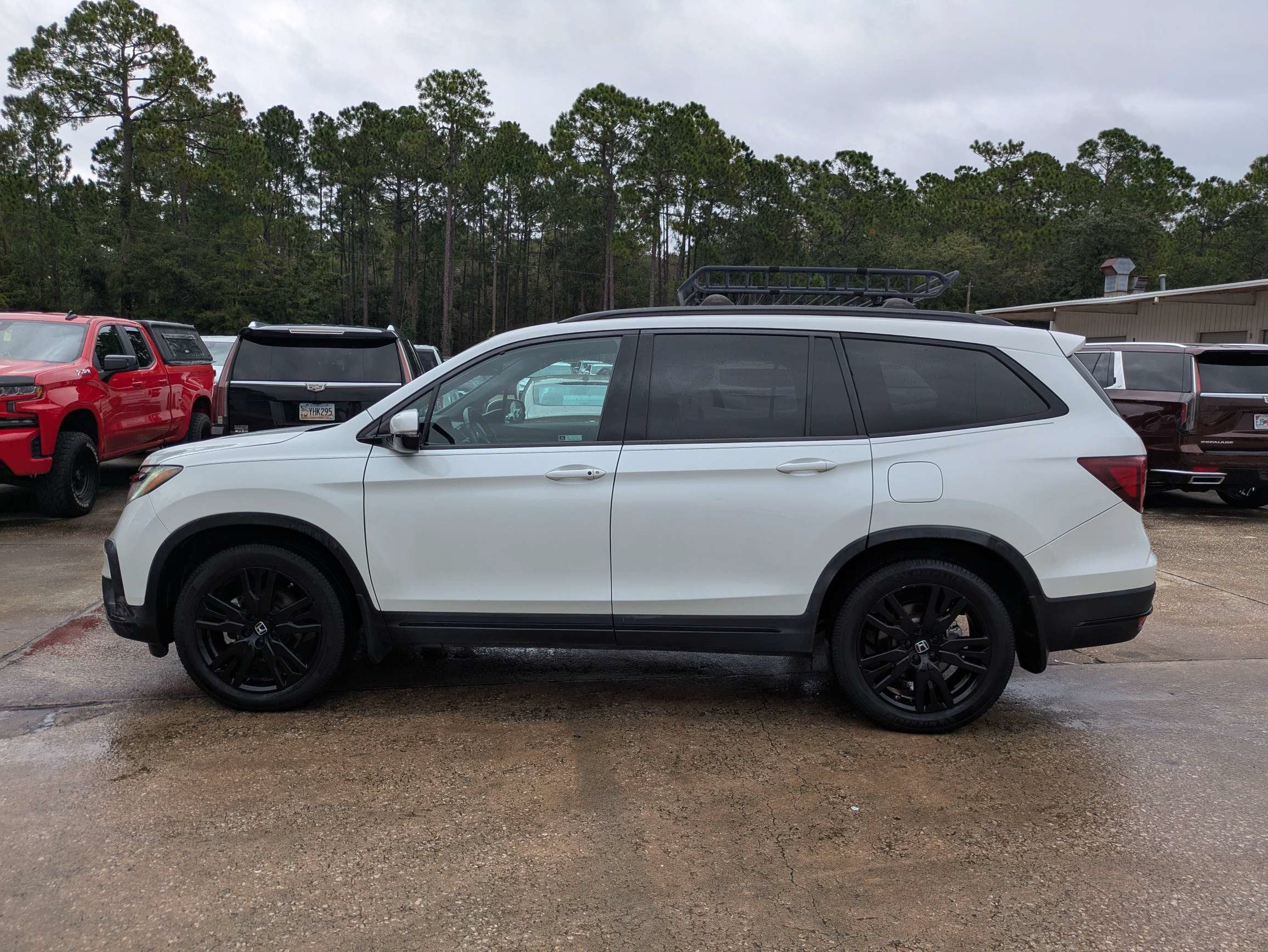 2021 Honda Pilot Black Edition